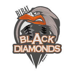 Bibai Black Diamonds